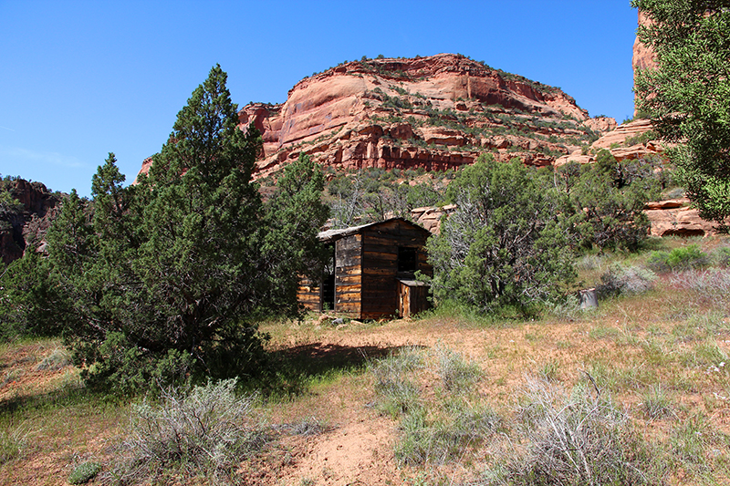 Pollock Canyon East Branch [Black Ridge Canyon Wilderness]