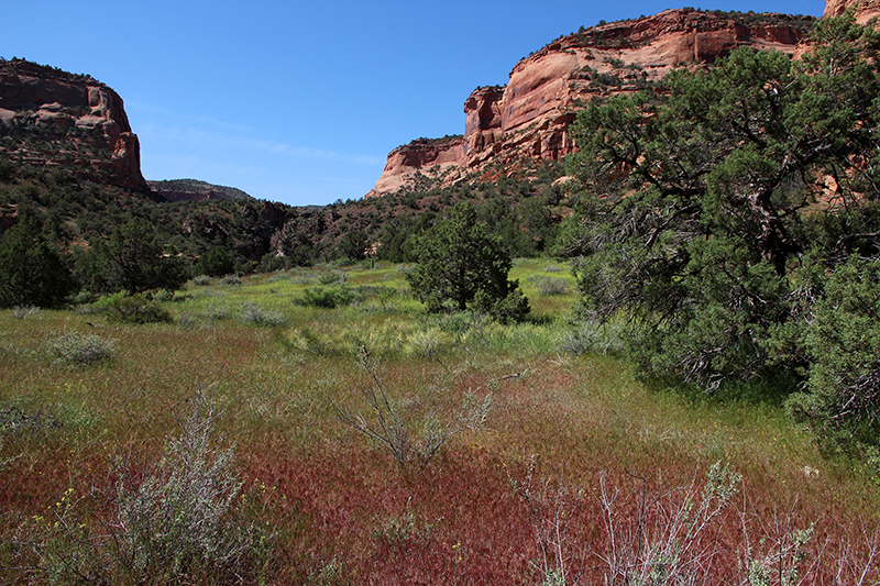 Pollock Canyon