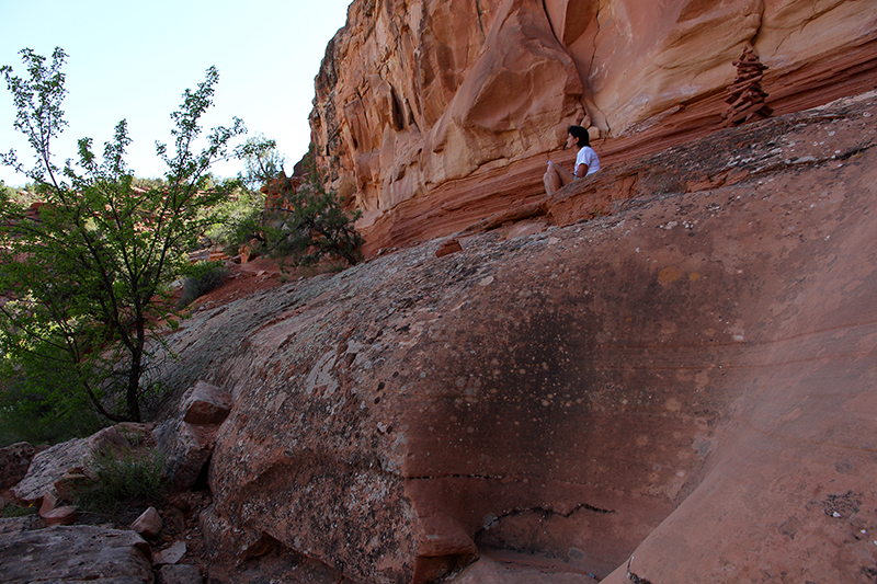 Pollock Canyon