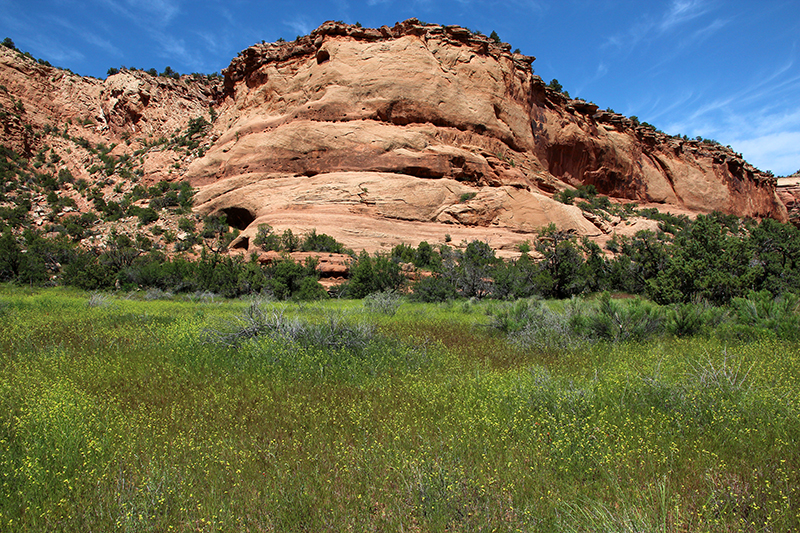 Pollock Canyon