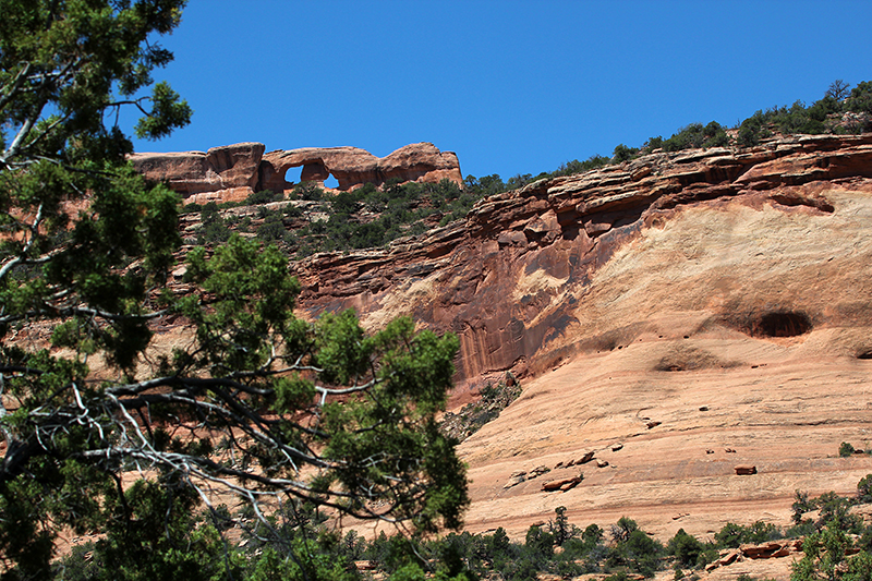 The Windows of Pollock Canyon