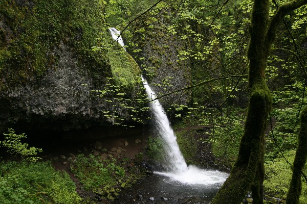 Ponytail Falls