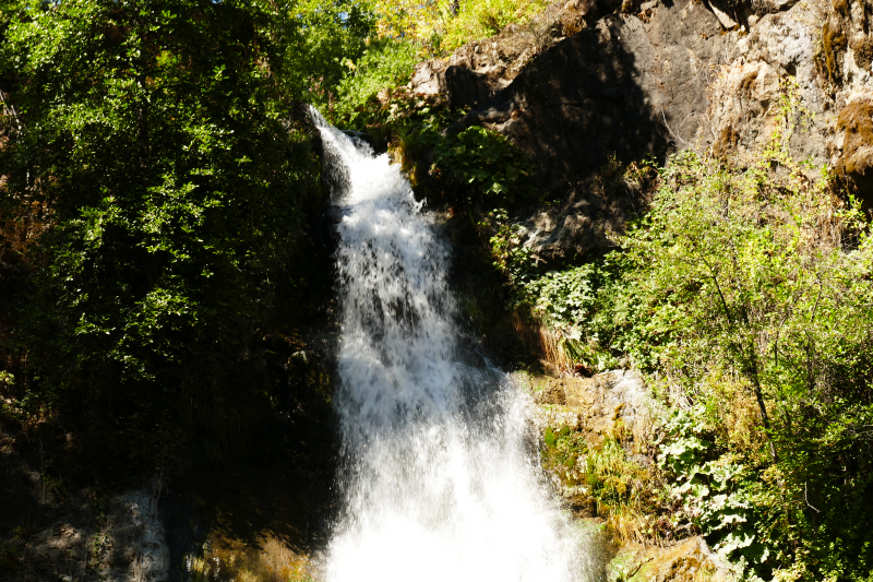 Bild Potem Falls [Shasta Trinity National Forest]