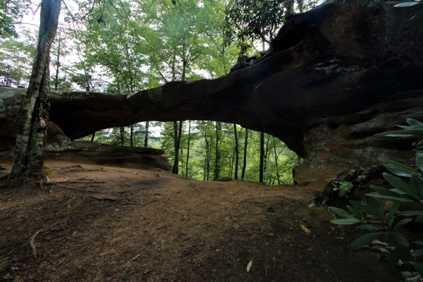 Princess Arch [Red River Gorge]