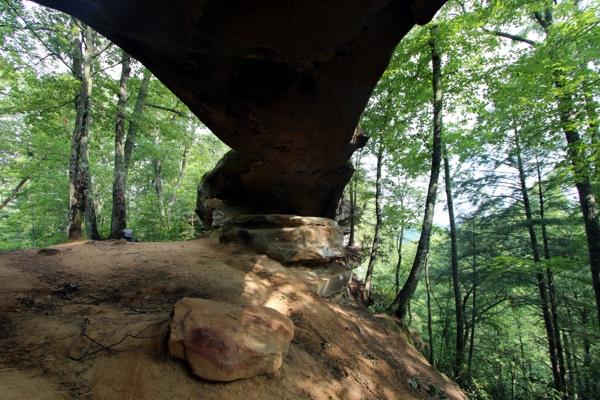 Princess Arch [Red River Gorge]