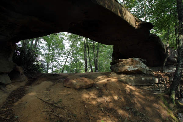 Princess Arch [Red River Gorge]