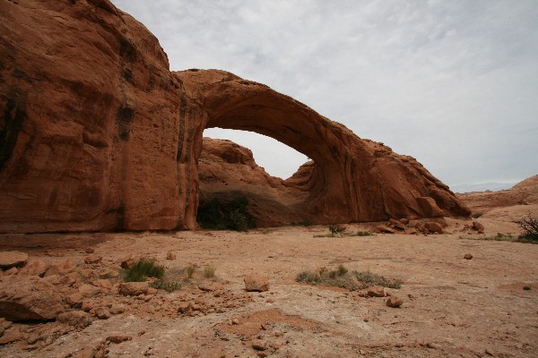 Pritchett Arch