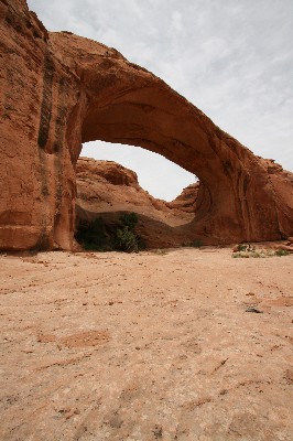 Pritchett Arch