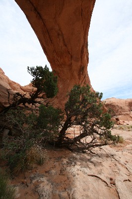 Pritchett Arch