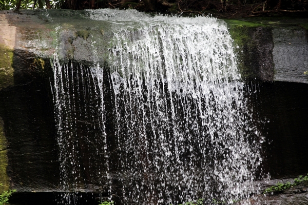 Rainbow Falls [Mount Le Conte] Great Smoky Mountains NP