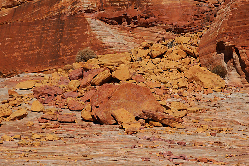 Rainbow Vista Valley of Fire