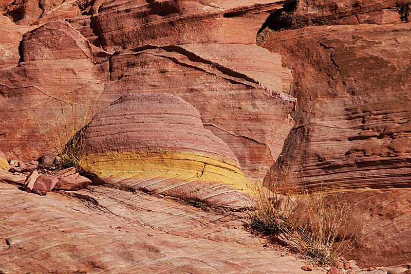 Rainbow Vista Valley of Fire