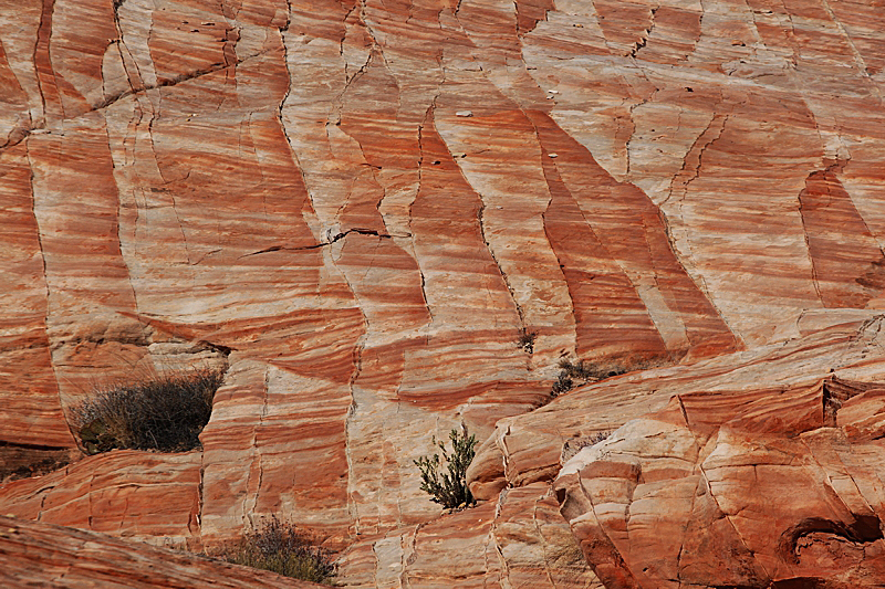 Rainbow Vista Valley of Fire