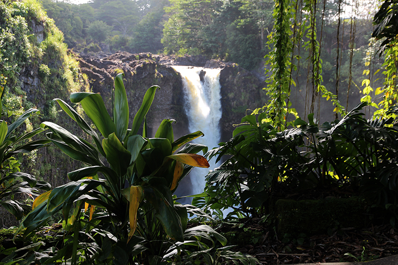 Waianuenue Rainbow Falls Wailuku River State Park