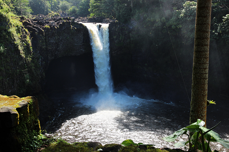 Waianuenue Falls aka. Rainbow Falls