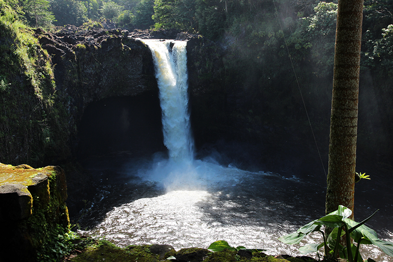 Waianuenue Rainbow Falls Wailuku River State Park