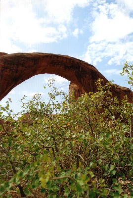 Rainbow Natural Bridge