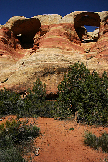 Arches of Rattlesnake Canyon