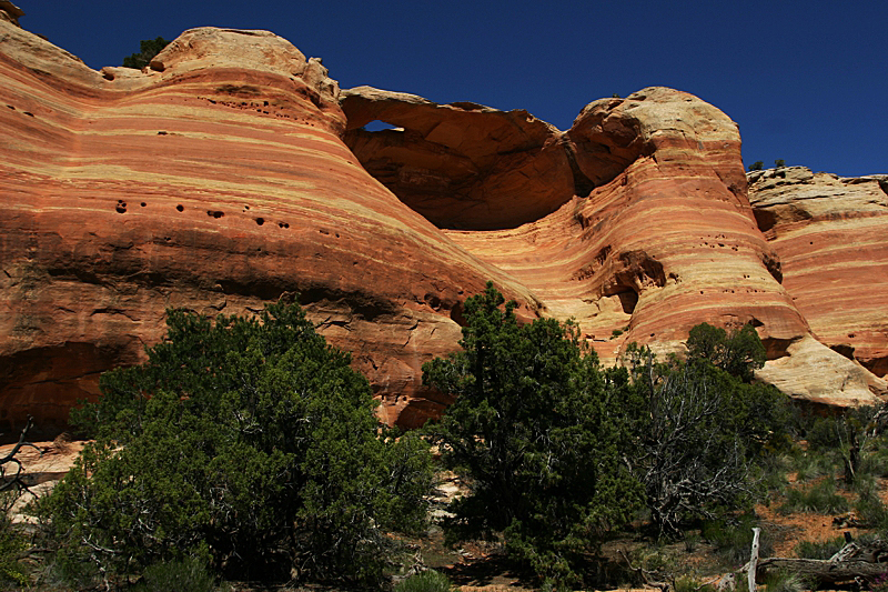 Rattlesnake Canyon via Pollock Canyon [Black Ridge Canyons Wilderness]