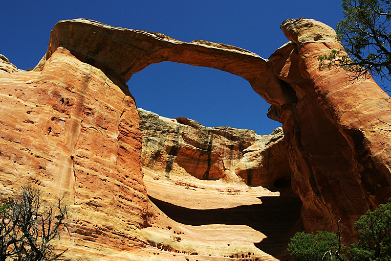 Rattlesnake Canyon via Black Ridge [Black Ridge Canyons Wilderness]