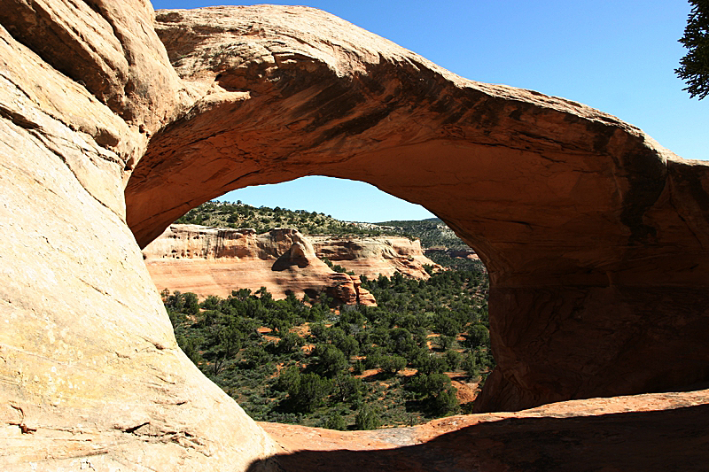 Arches of Rattlesnake Canyon