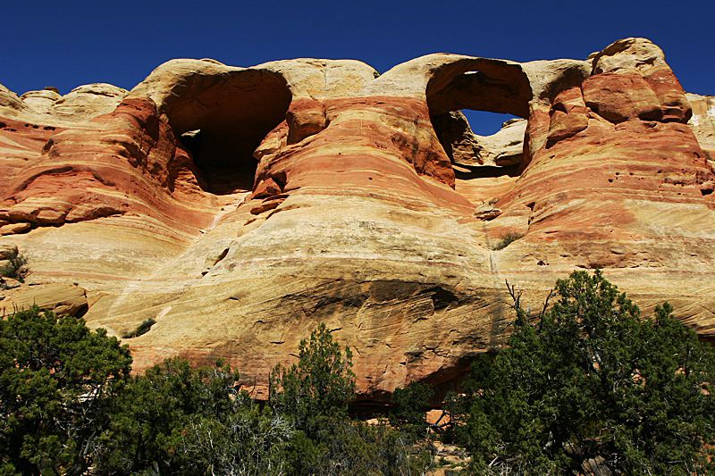 Rattlesnake Canyon via Black Ridge [Black Ridge Canyons Wilderness]