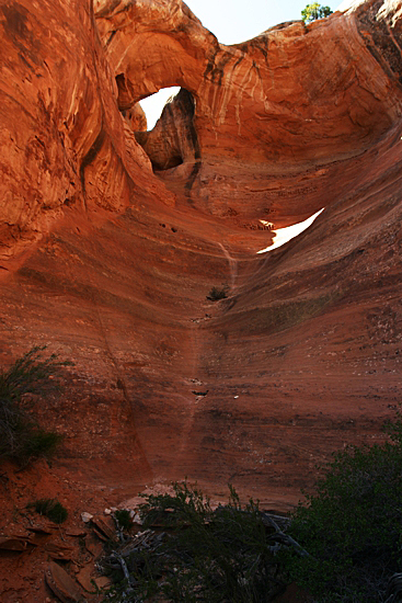 Arches of Rattlesnake Canyon