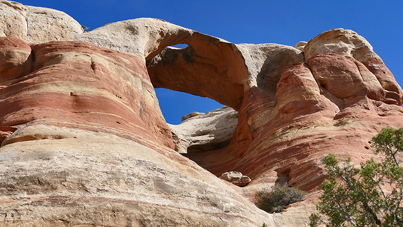 Arches of Rattlesnake Canyon