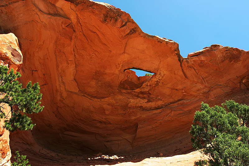 Arches of Rattlesnake Canyon