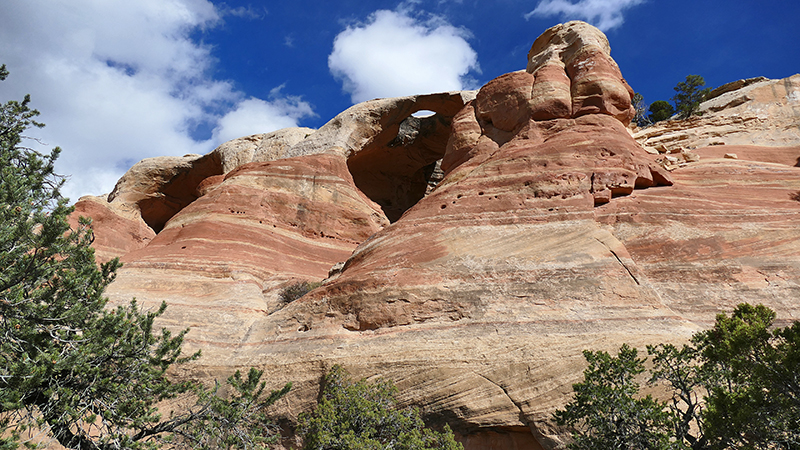 Arches of Rattlesnake Canyon