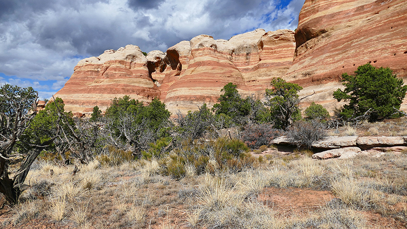 Arches of Rattlesnake Canyon