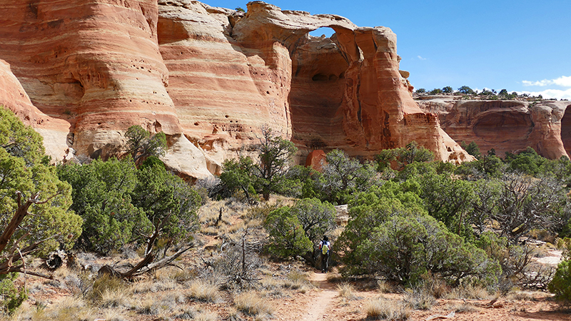 Arches of Rattlesnake Canyon