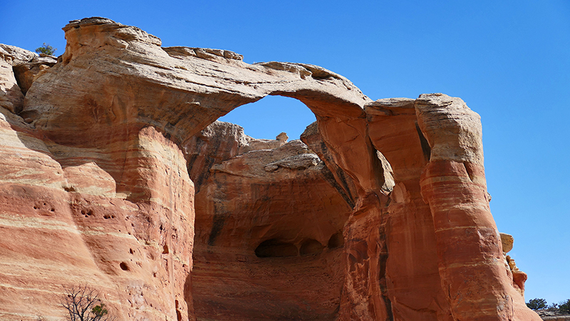 Arches of Rattlesnake Canyon