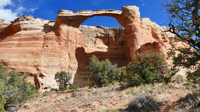 Rattlesnake Canyon via Black Ridge [Black Ridge Canyons Wilderness]