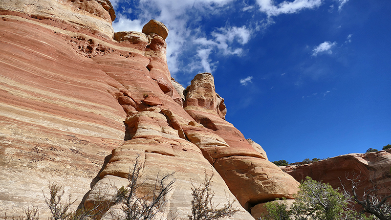 Arches of Rattlesnake Canyon