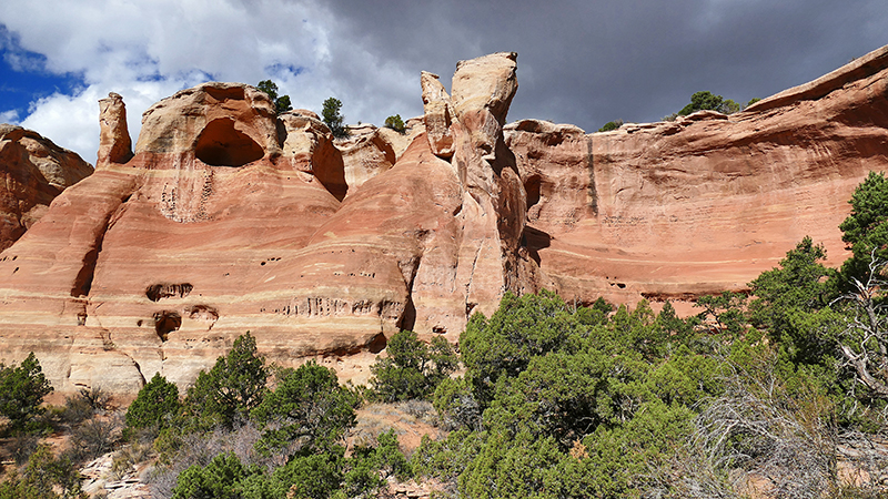 Arches of Rattlesnake Canyon