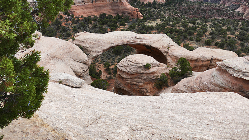 Arches of Rattlesnake Canyon