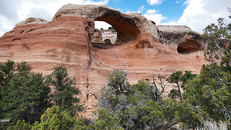 Arches of Rattlesnake Canyon