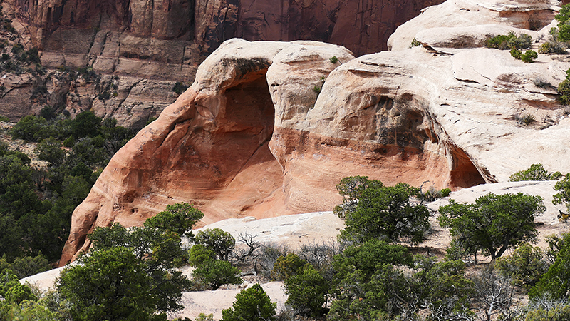 Arches of Rattlesnake Canyon