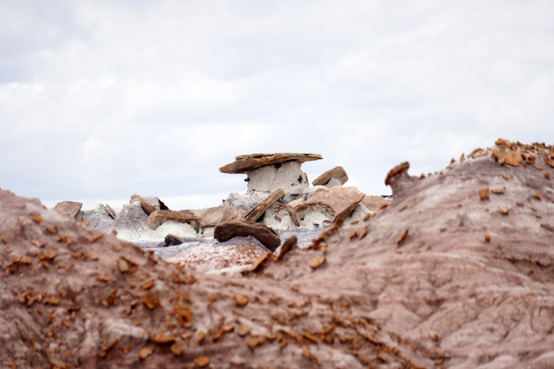 Red Basin Clam Beds [Petrified Forest National Park]
