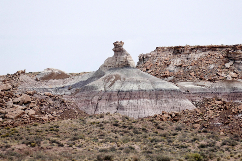 Red Basin Clam Beds [Petrified Forest National Park]