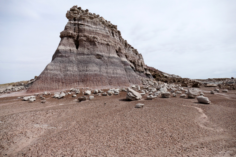 Red Basin Clam Beds [Petrified Forest National Park]