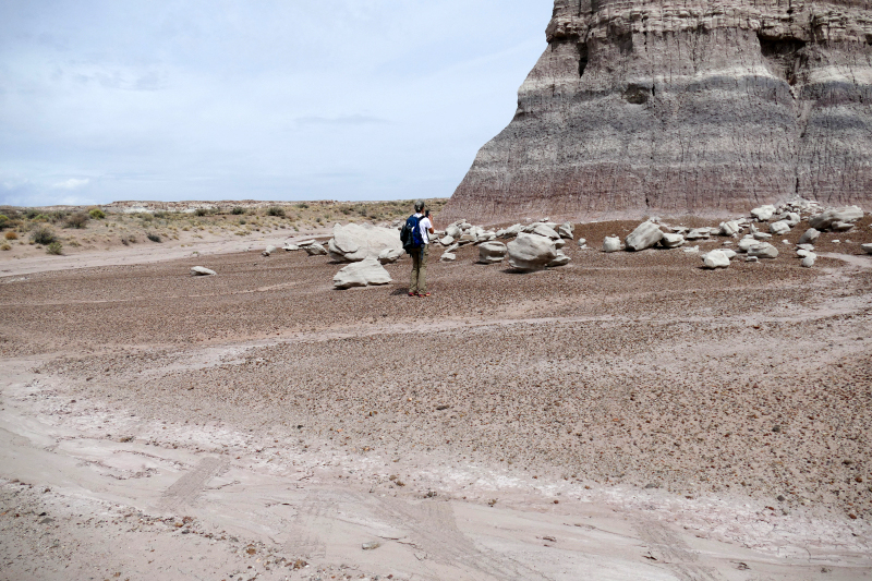 Red Basin Clam Beds [Petrified Forest National Park]
