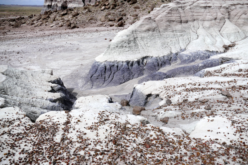 Red Basin Clam Beds [Petrified Forest National Park]