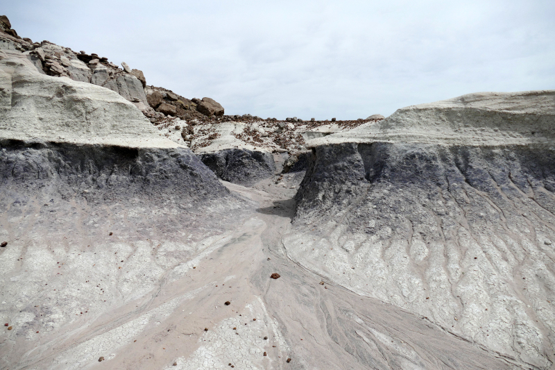 Red Basin Clam Beds [Petrified Forest National Park]