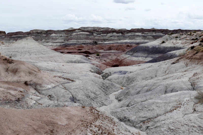 Red Basin Clam Beds [Petrified Forest National Park]