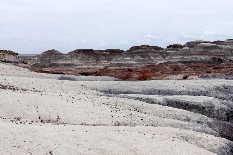 Red Basin Clam Beds [Petrified Forest National Park]