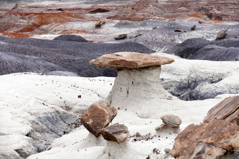 Red Basin Clam Beds [Petrified Forest National Park]