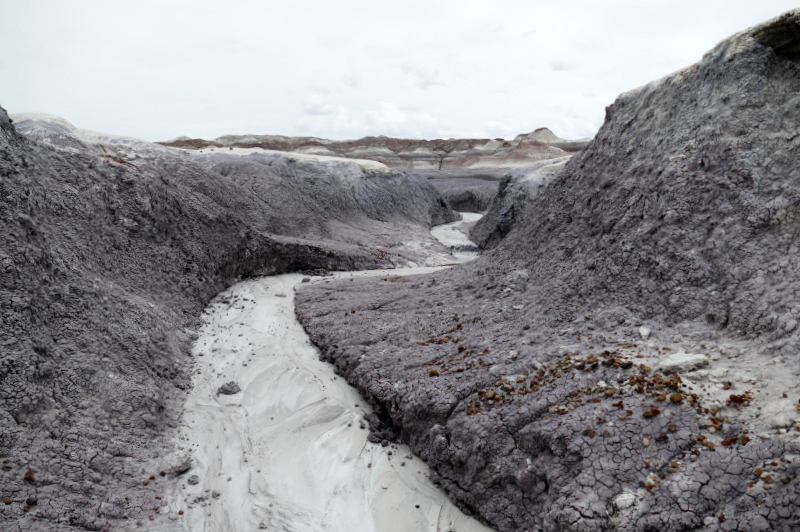 Red Basin Clam Beds [Petrified Forest National Park]