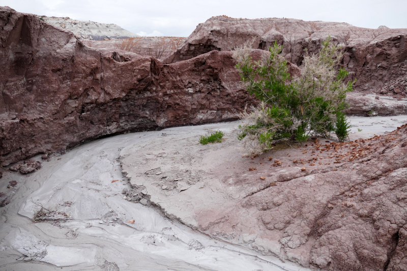 Red Basin Clam Beds [Petrified Forest National Park]